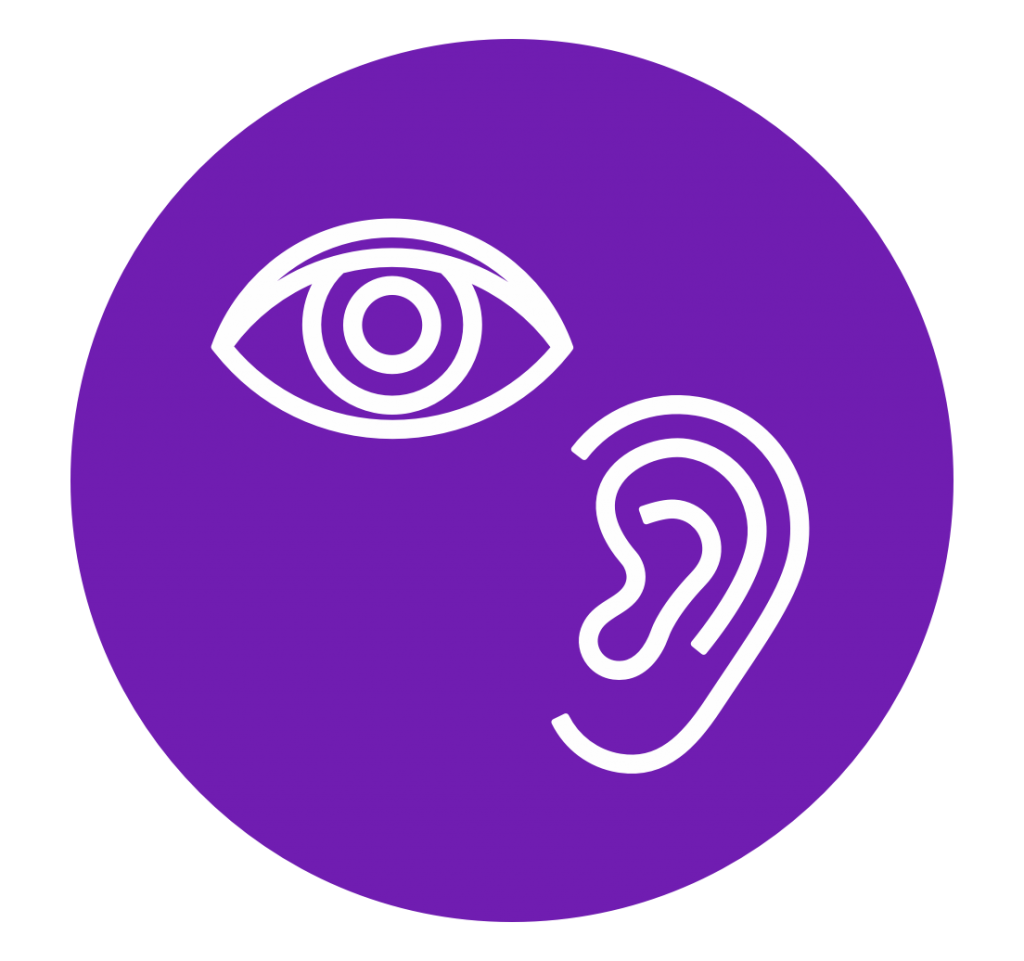 Vision and Hearing Technologies Strand Icon