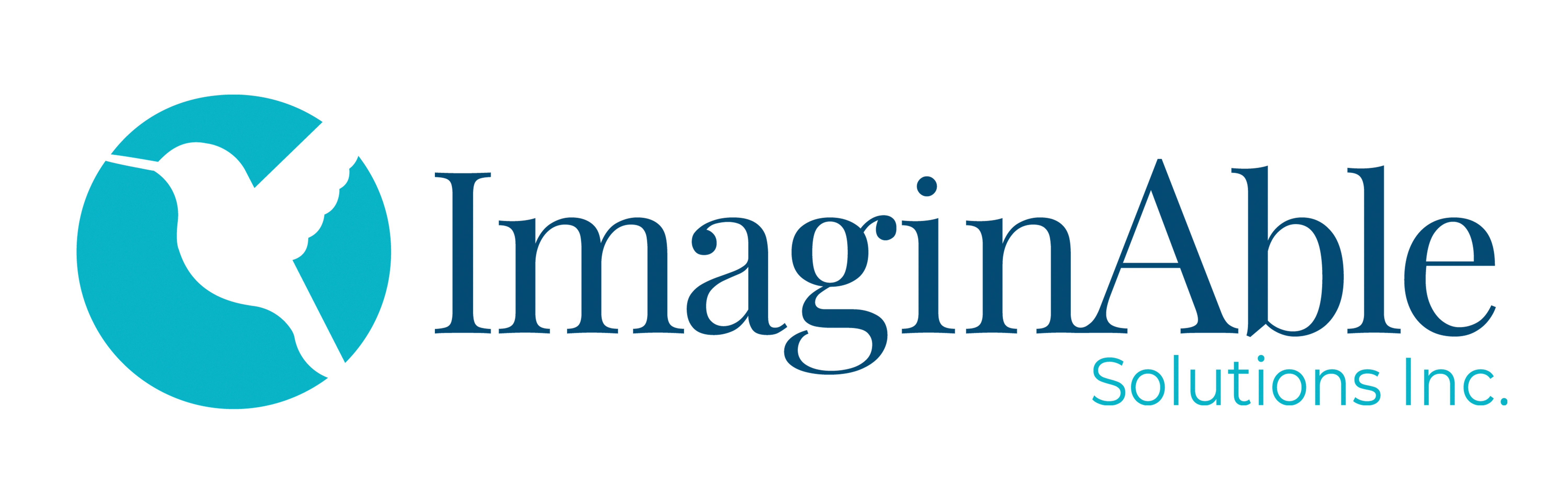 ImaginAble Solutions